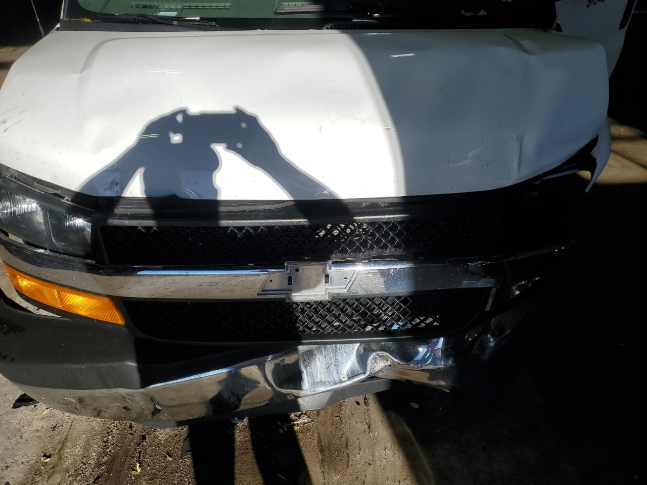 2021 Chevrolet Express VIN 1GCWGAF77M1309822 photo 12