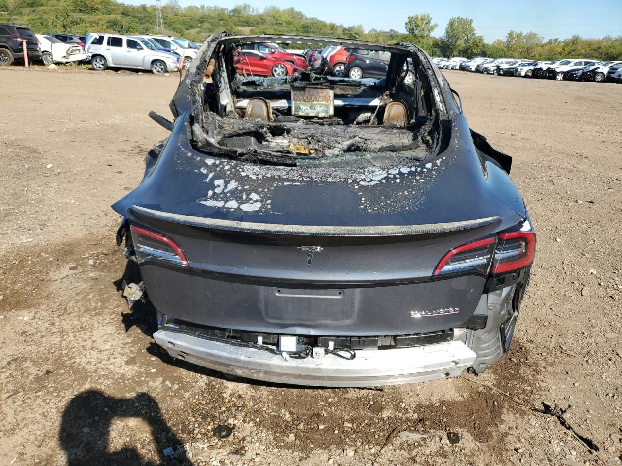 2021 Tesla Model 3 VIN 5YJ3E1EC7MF914356 photo 6