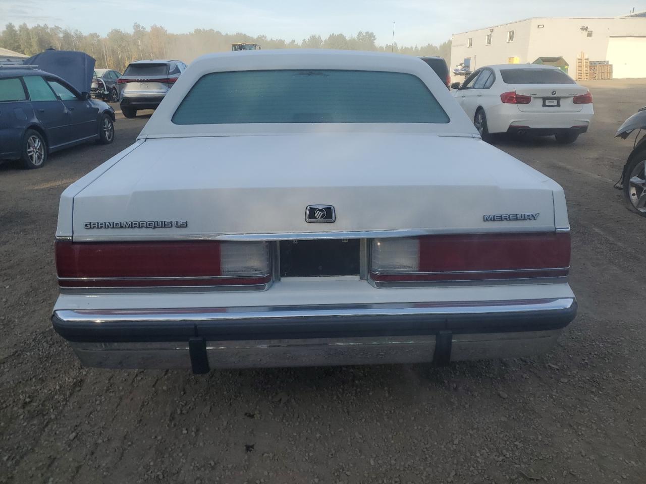 1991 Mercury Grmarquis VIN 2MECM75F7MX656161 photo 6