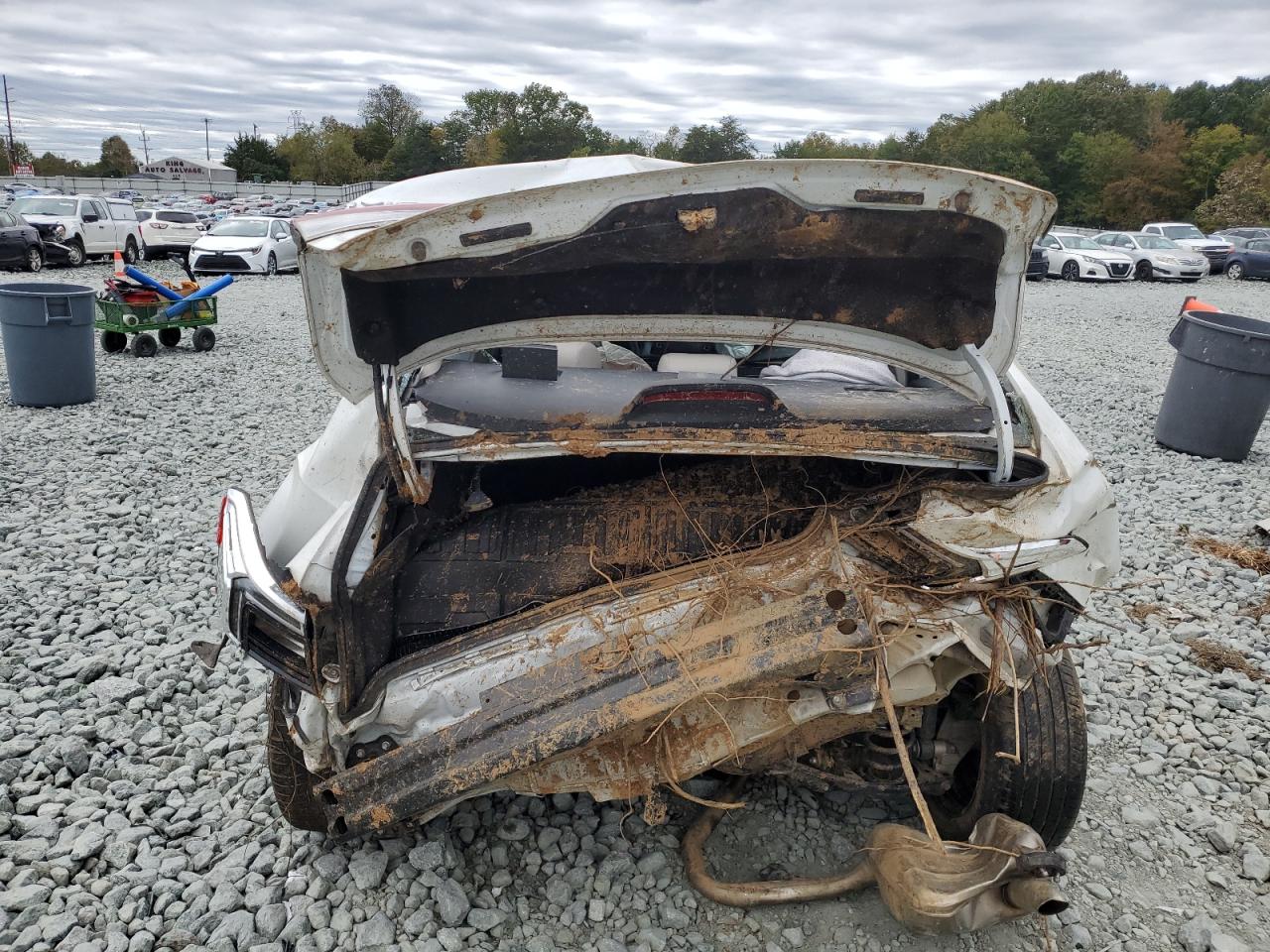 2022 Civic VIN 2HGFE2F23NH520505 photo 6