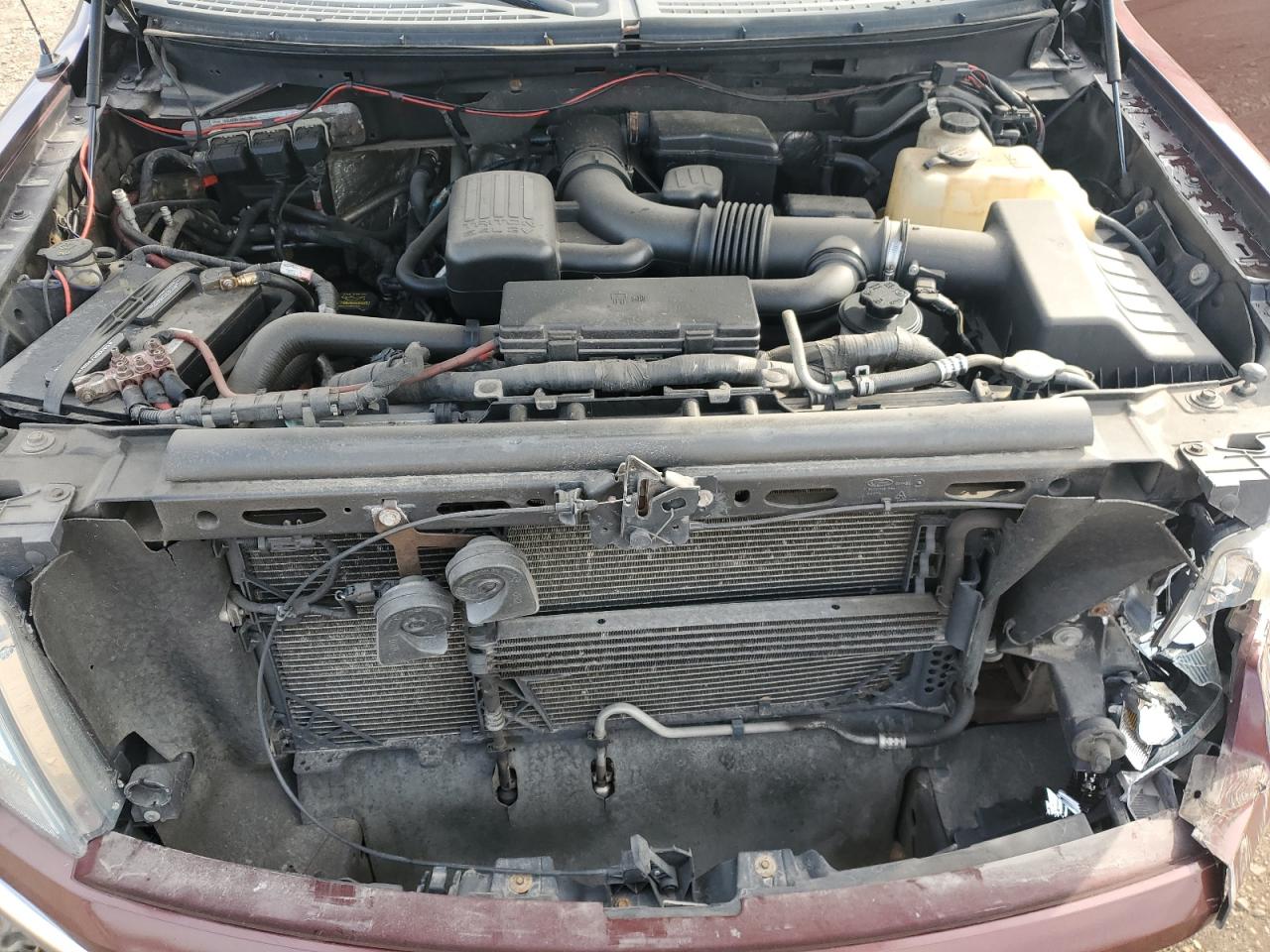 2010 Ford F150 VIN 1FTFX1EV0AFB65464 photo 11