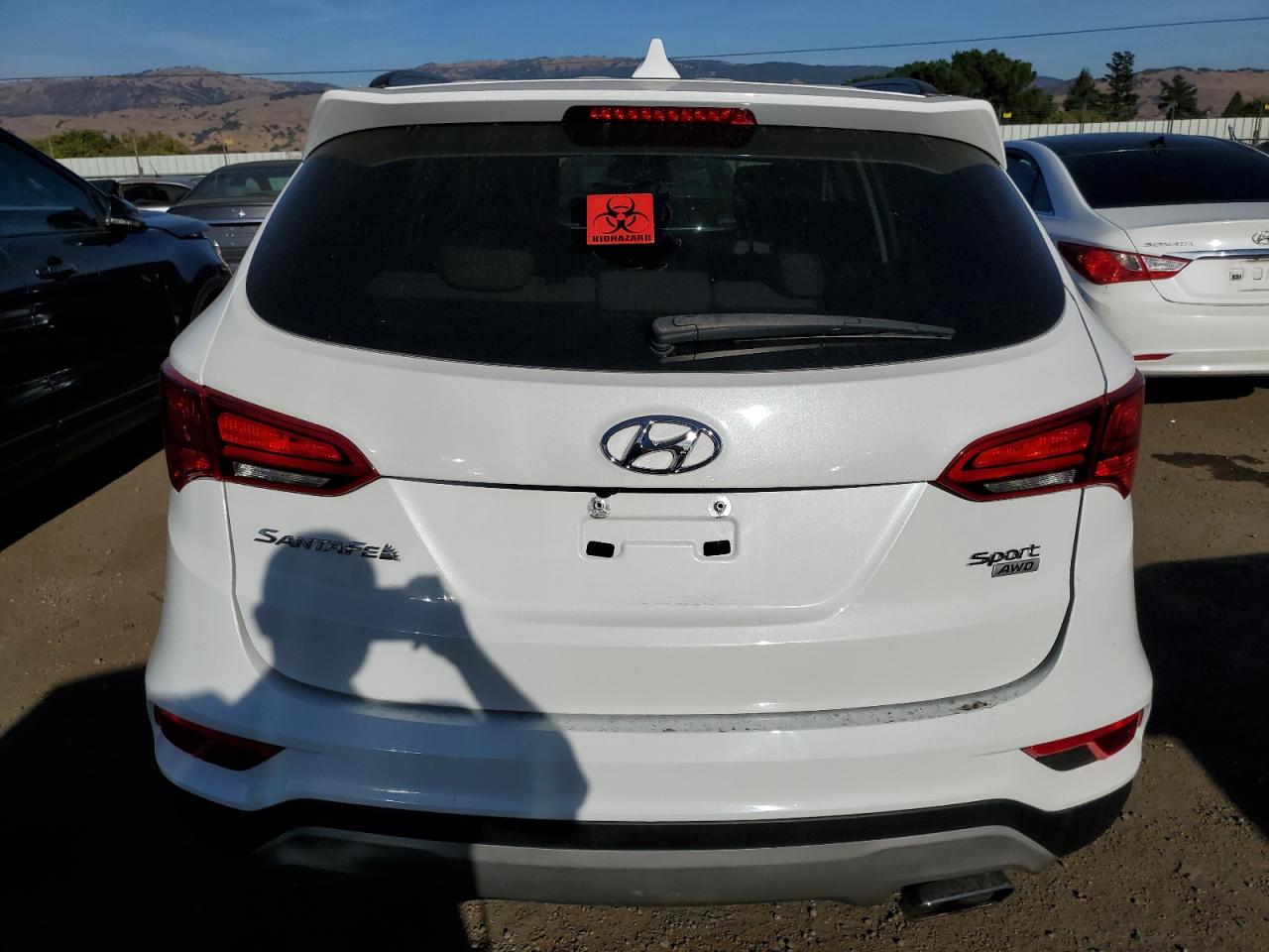 2018 HYUNDAI Santa fe VIN 5NMZUDLB8JH056964 photo 6