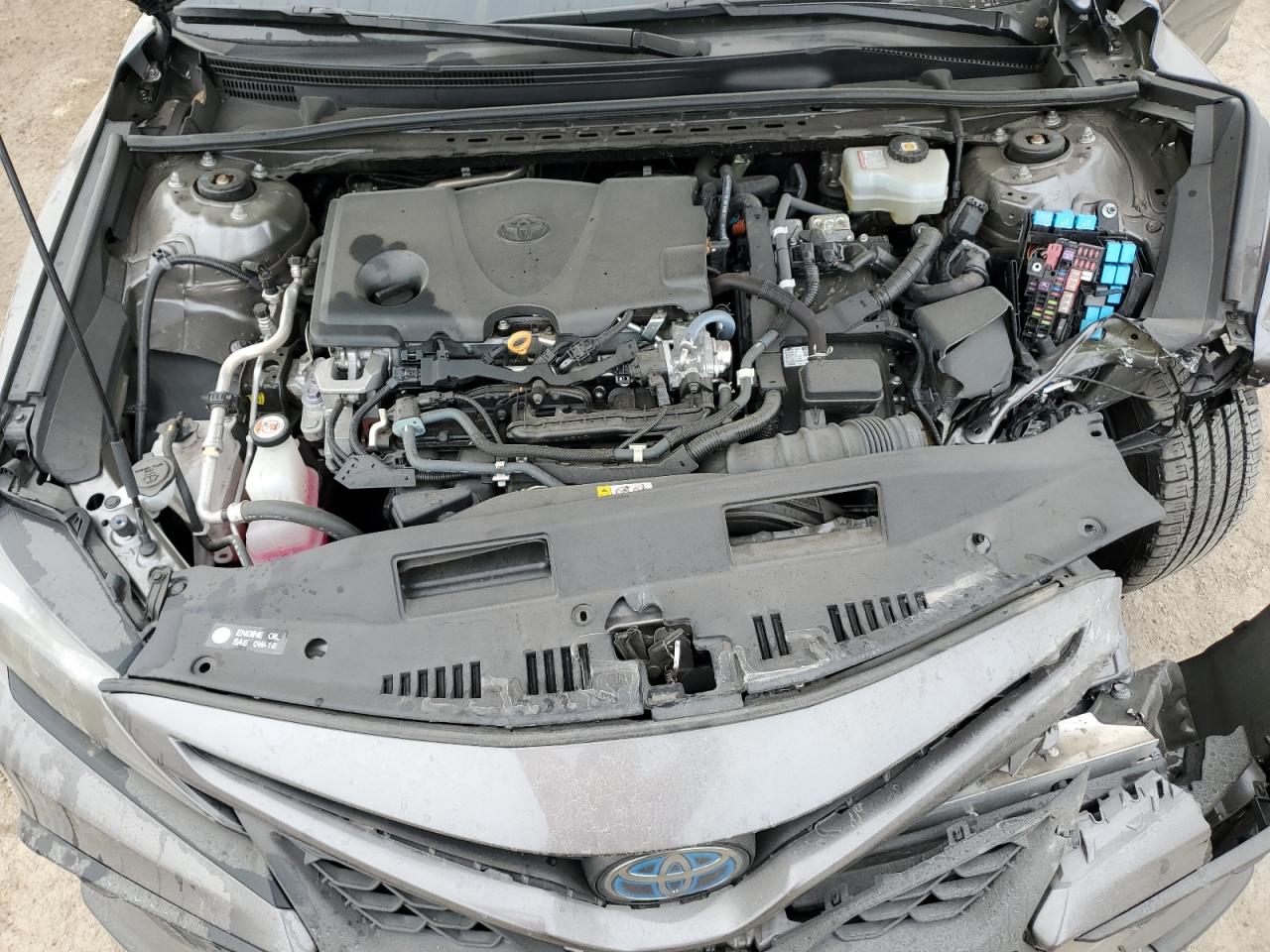 2021 TOYOTA Camry VIN 4T1G31AK4MU555359 photo 11