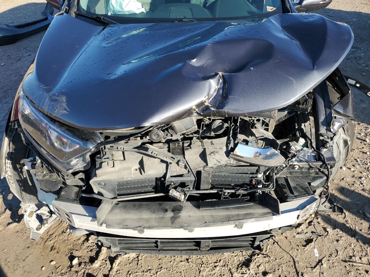 2019 Honda Crv VIN 7FARW2H55KE010856 photo 12