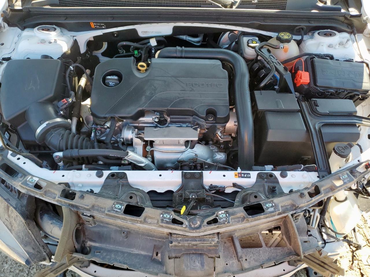 2019 Chev Malibu VIN 1G1ZC5ST2KF186264 photo 11