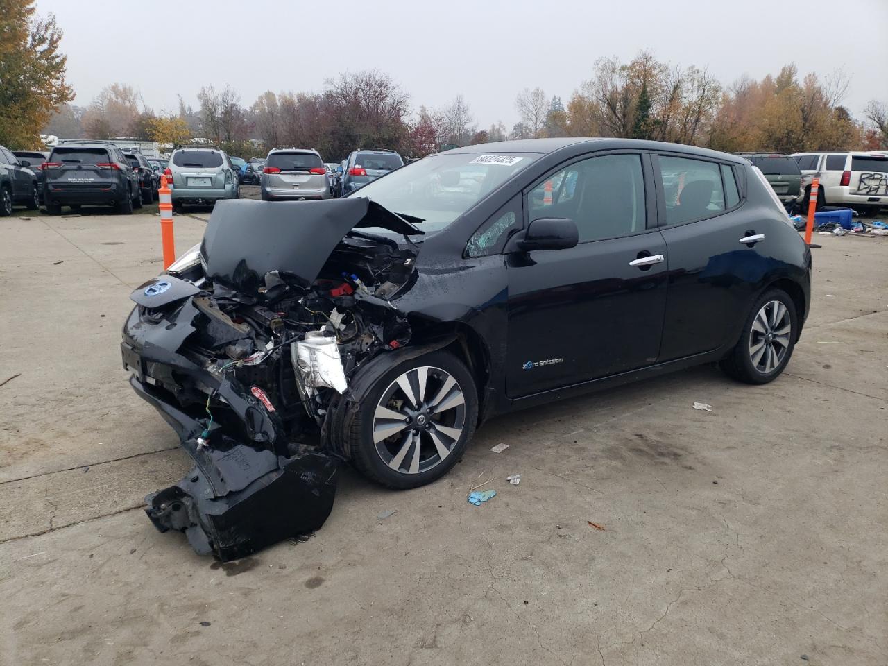 2016 Nissan Leaf VIN 1N4BZ0CPXGC308461 photo 1