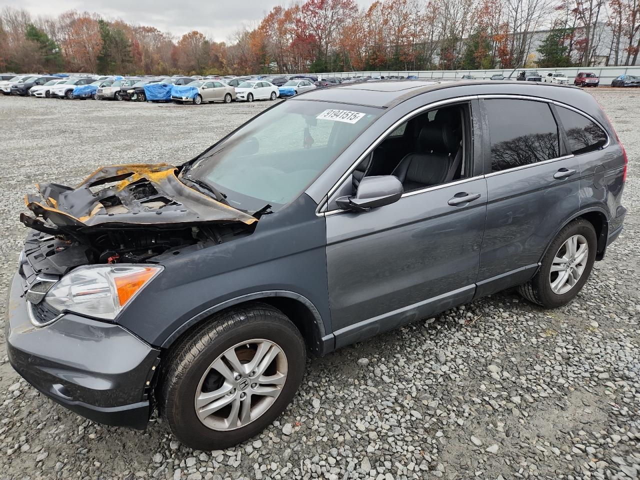 2010 Honda Crv VIN 5J6RE4H71AL030572 photo 1