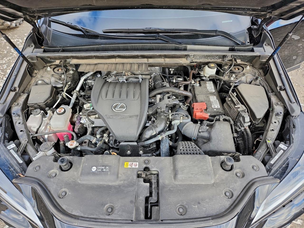 2024 Lexus Nx 350 pre VIN 2T2GGCEZXRC036988 photo 12