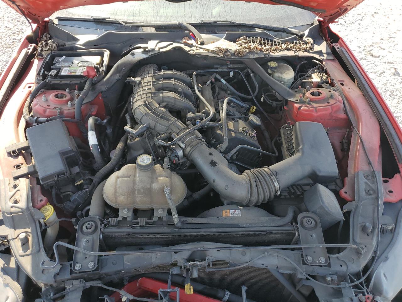 2015 Ford All models VIN 1FATP8EM5F5330611 photo 11