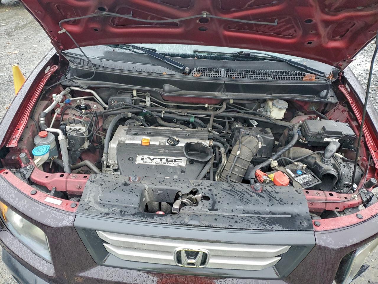 2007 Honda Element VIN 5J6YH28767L005666 photo 12