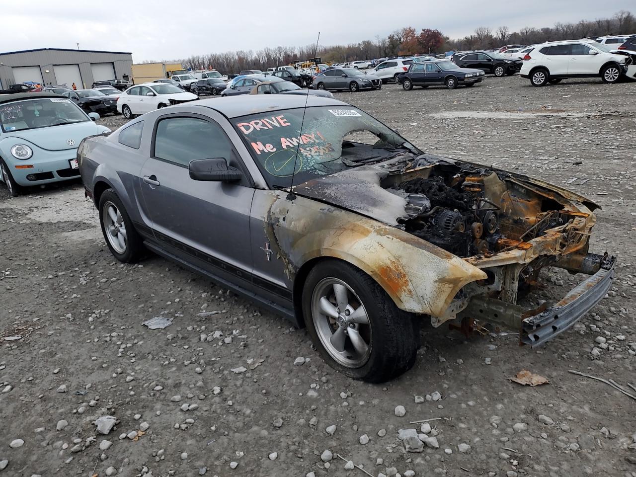 2006 Ford All models VIN 1ZVHT80NX65249337 photo 4