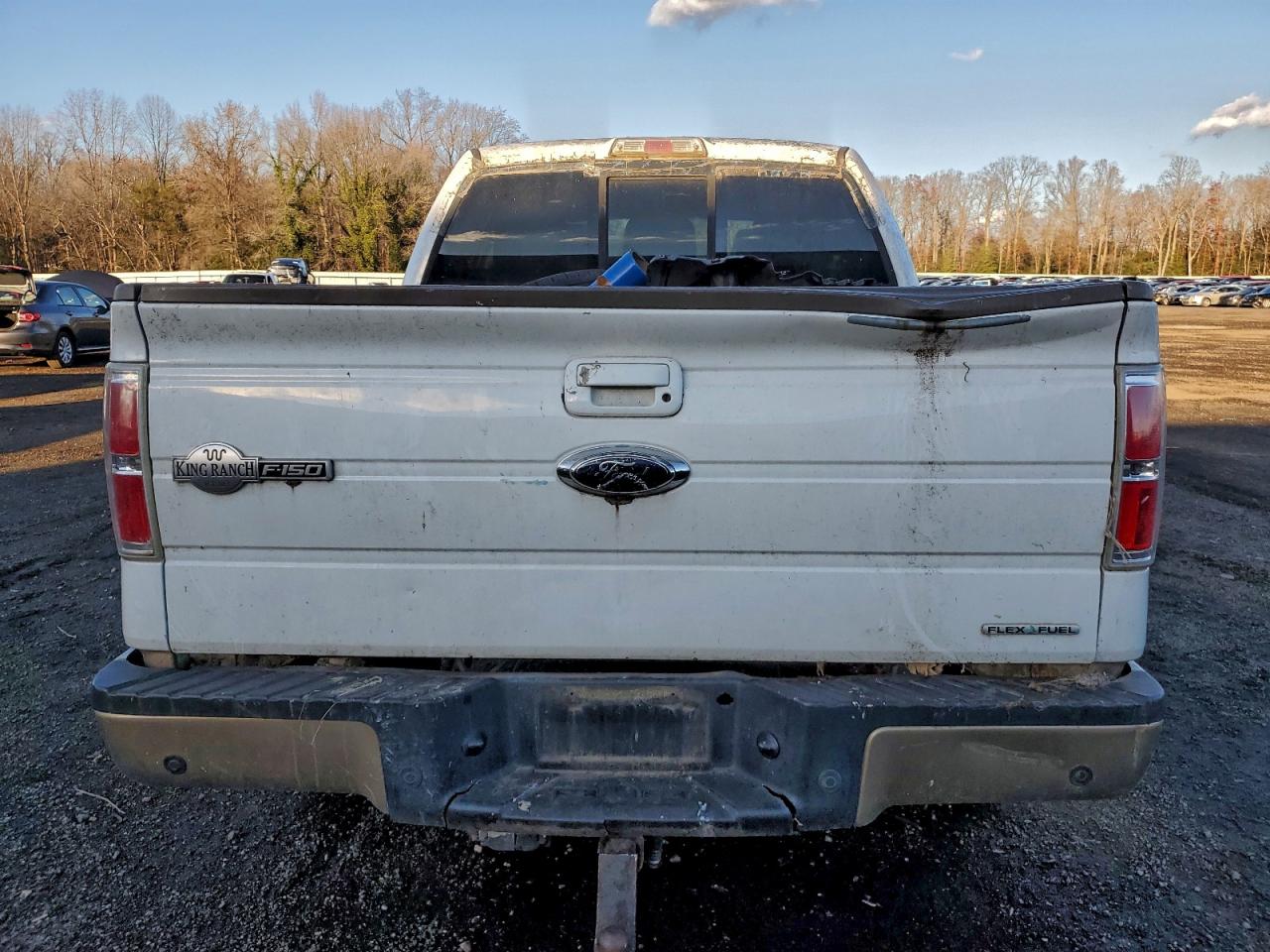 2011 Ford F150 VIN 1FTFW1EF0BKD00561 photo 6