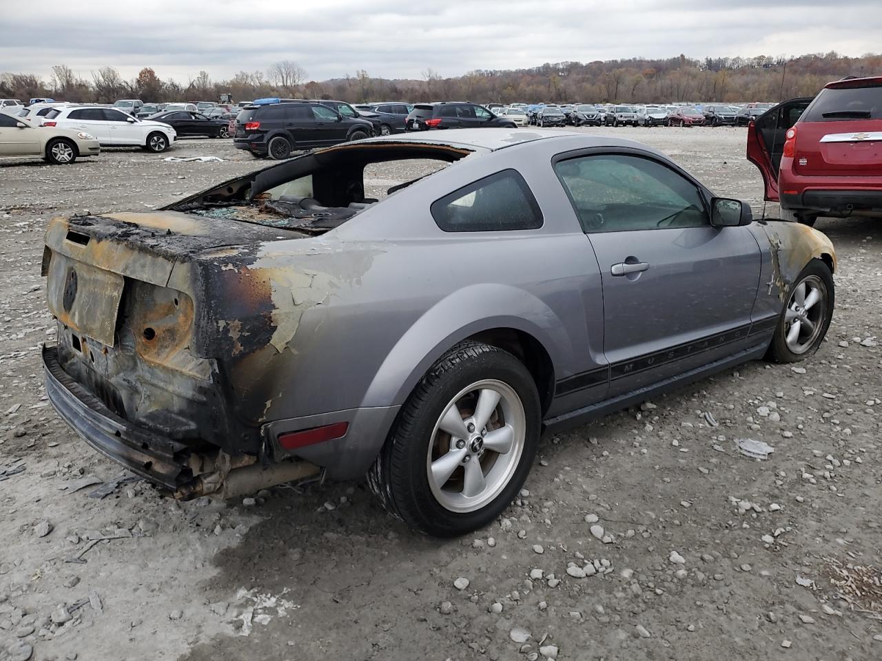 2006 Ford All models VIN 1ZVHT80NX65249337 photo 3