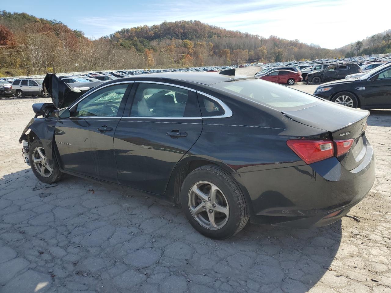 2018 Chev Malibu VIN 1G1ZB5ST2JF228031 photo 2