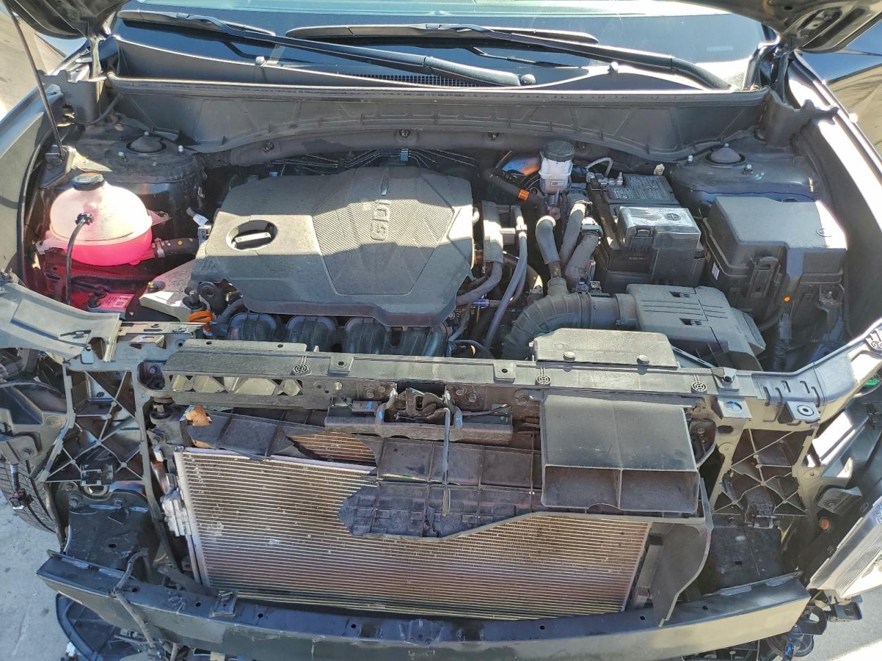 2024 Hyundai Tucson VIN 5NMJB3DE1RH423592 photo 12