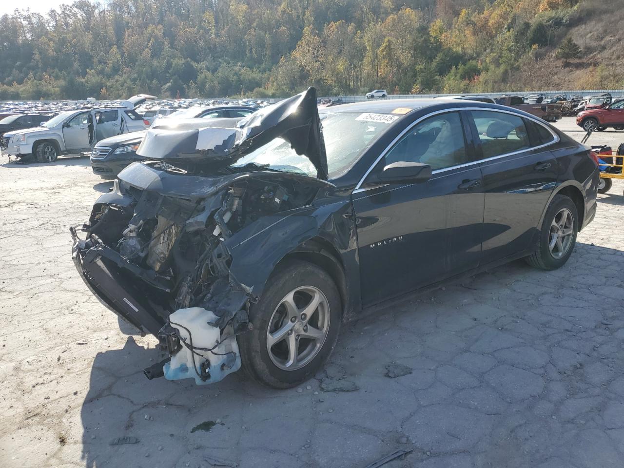 2018 Chev Malibu VIN 1G1ZB5ST2JF228031 photo 1