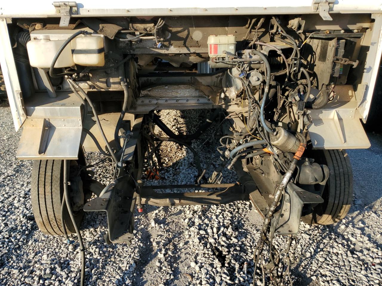 2011 WORKHORSE All models VIN 5B4LFG2E6B3445735 photo 11