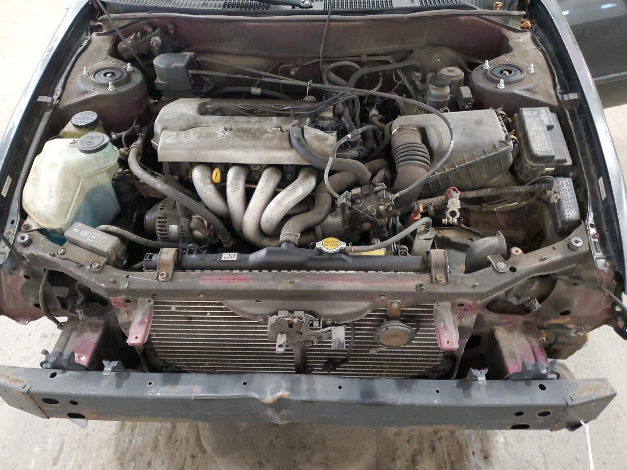 1998 Toyota Corolla VIN 1NXBR18E1WZ088591 photo 11
