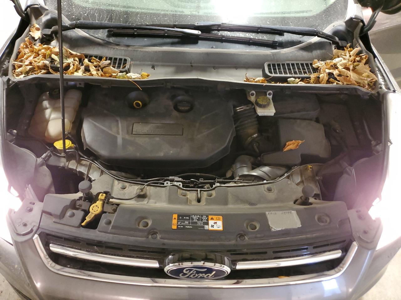2014 FORD Escape VIN 1FMCU9J92EUD58814 photo 11