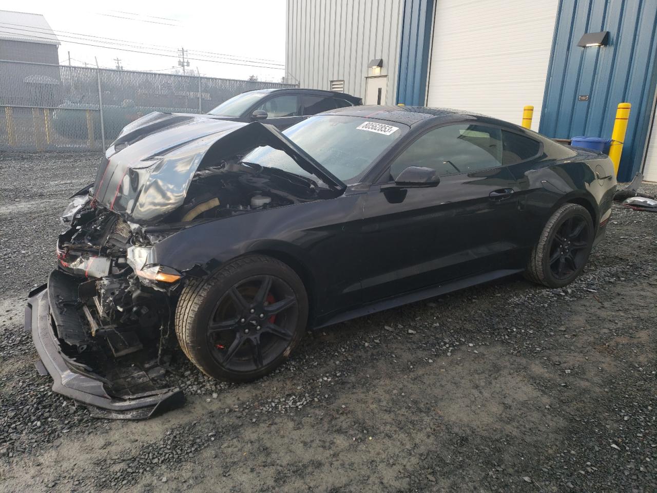 2019 FORD Mustang VIN 1FA6P8TH6K5154892 photo 1