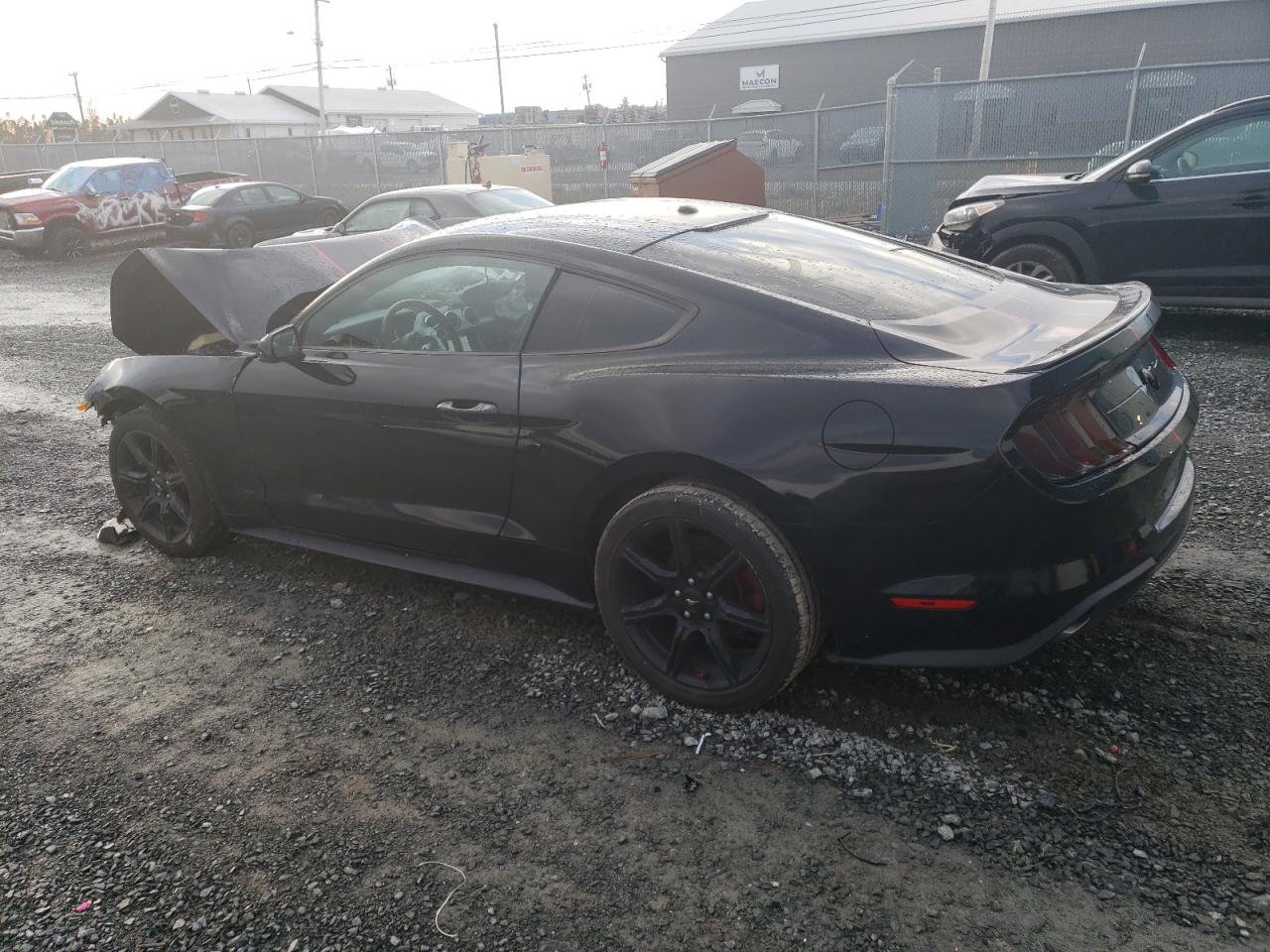 2019 FORD Mustang VIN 1FA6P8TH6K5154892 photo 2