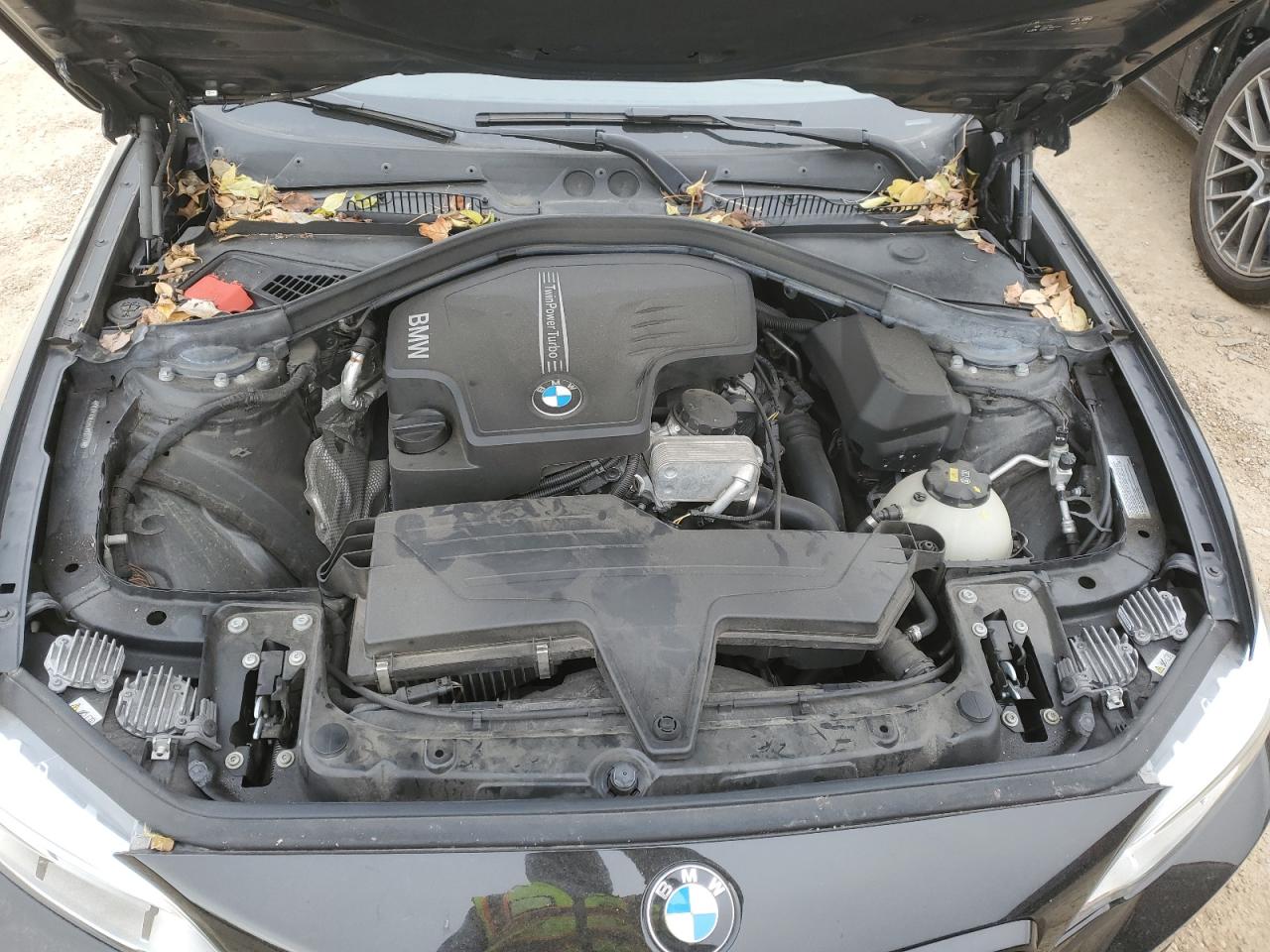 2016 BMW 2 series VIN WBA1G9C55GVX97111 photo 11