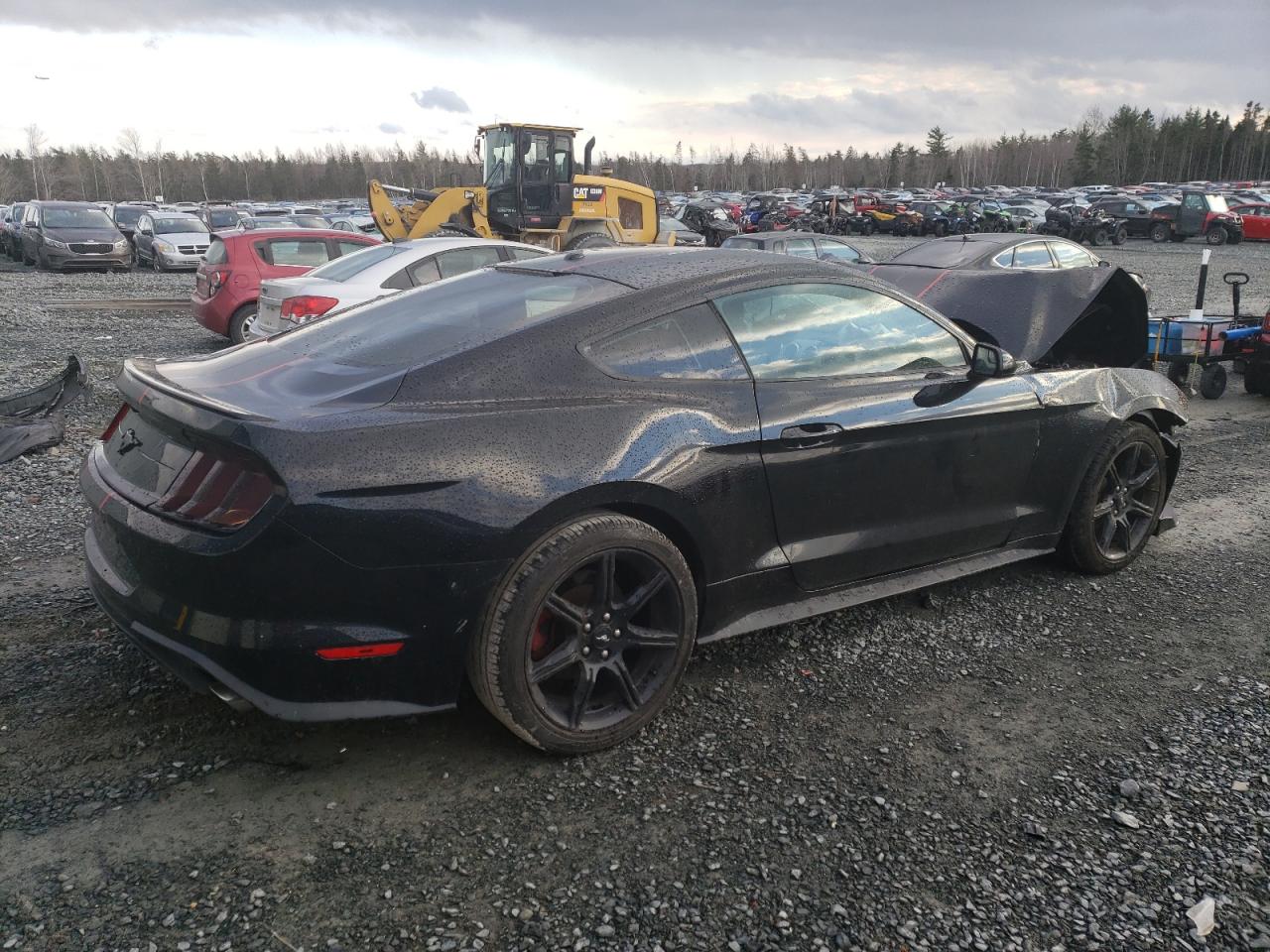 2019 FORD Mustang VIN 1FA6P8TH6K5154892 photo 3