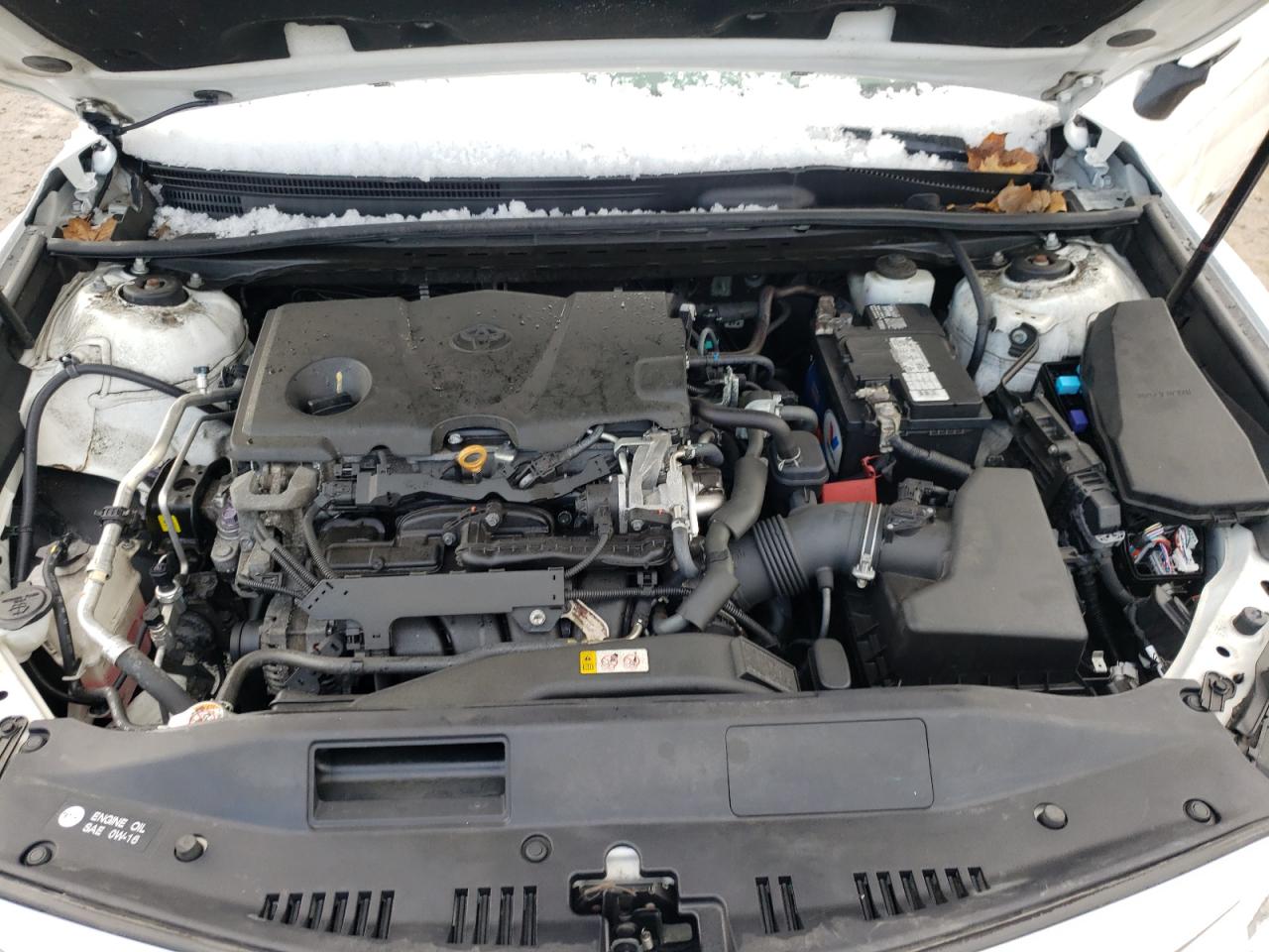 2019 TOYOTA Camry VIN 4T1B11HK6KU792857 photo 11