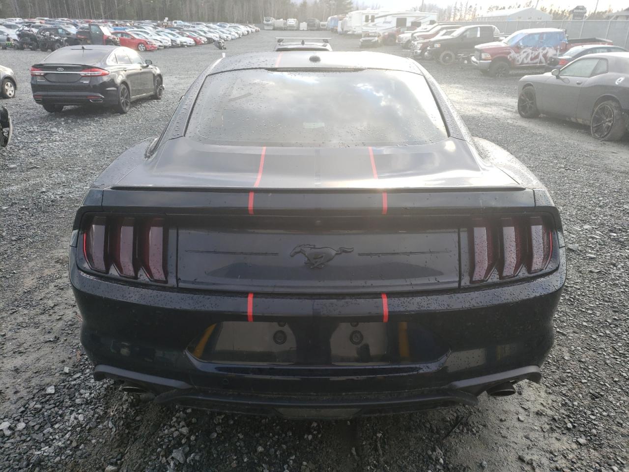 2019 FORD Mustang VIN 1FA6P8TH6K5154892 photo 6
