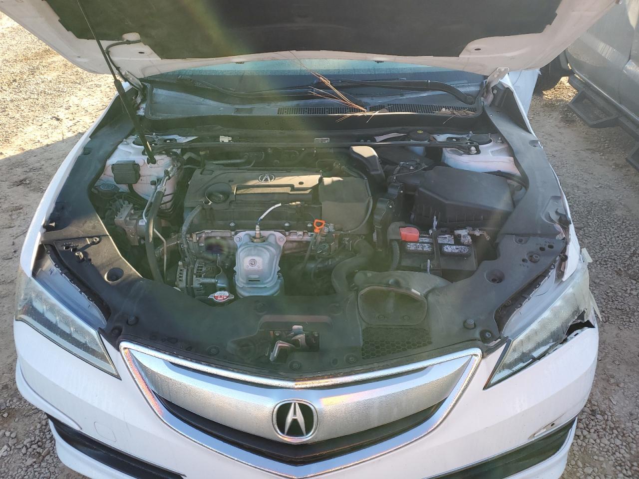 2015 Acura Tlx VIN 19UUB1F32FA005286 photo 11