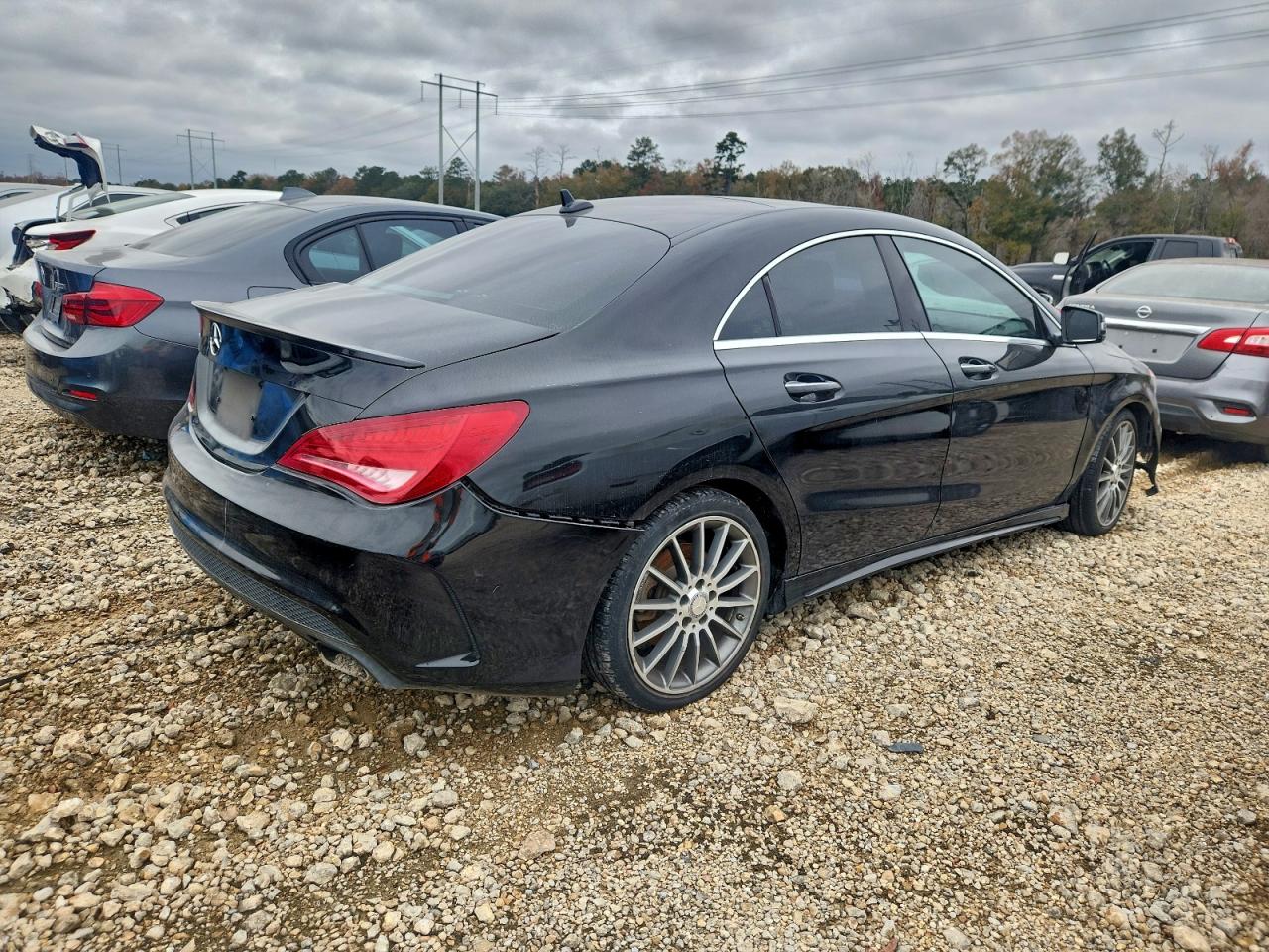 2016 Mercedes-Benz Cla-class VIN WDDSJ4EBXGN293934 photo 3