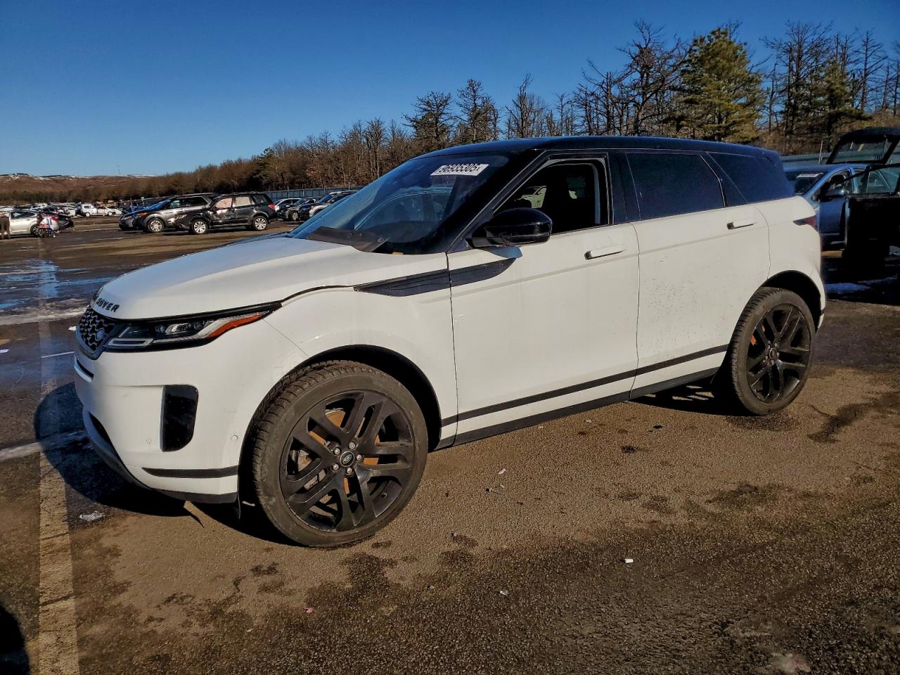 2020 Land Rangerover VIN SALZP2FX7LH118029 photo 1