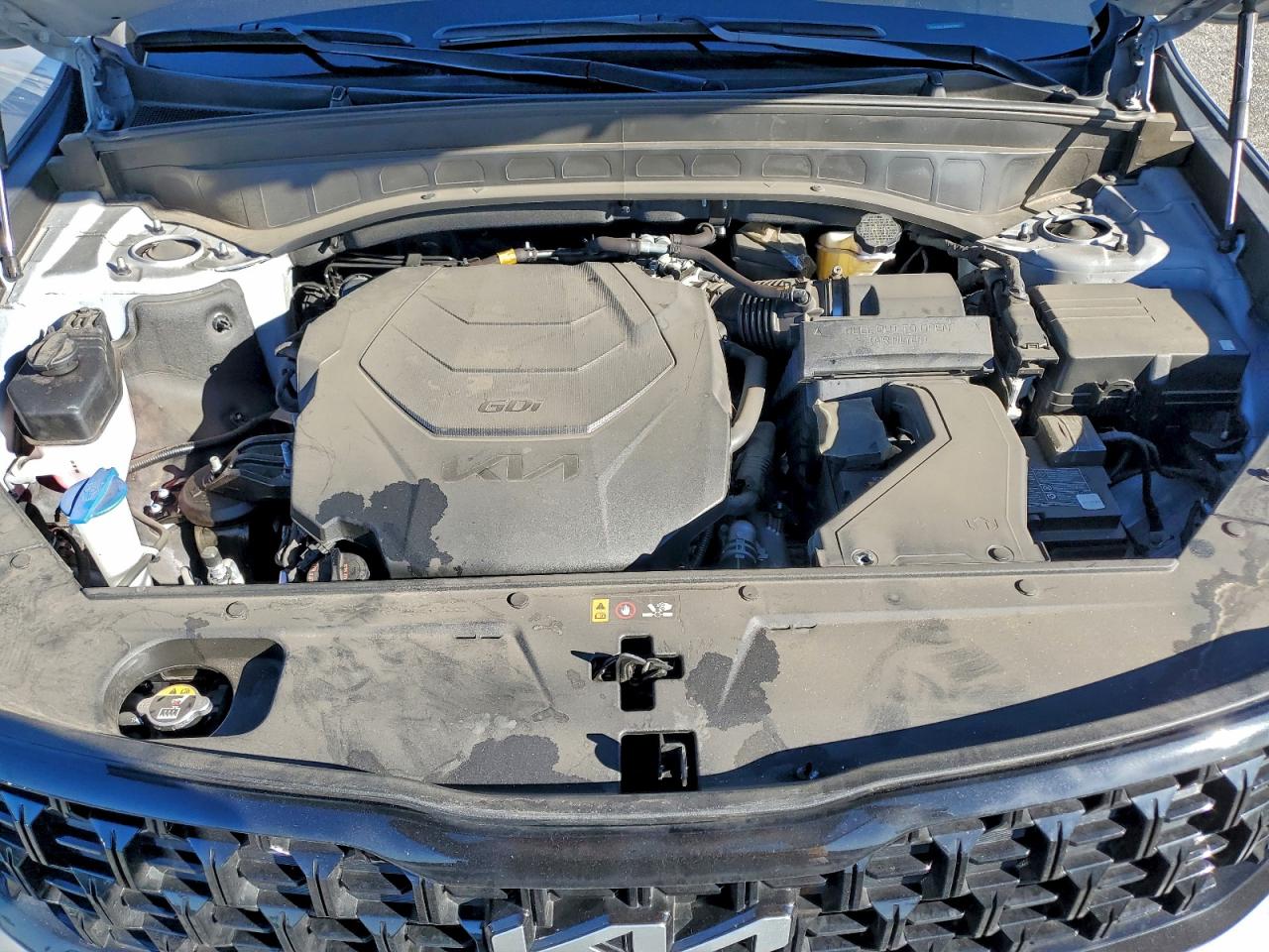 2024 Kia Telluride VIN 5XYP5DGC9RG537822 photo 12