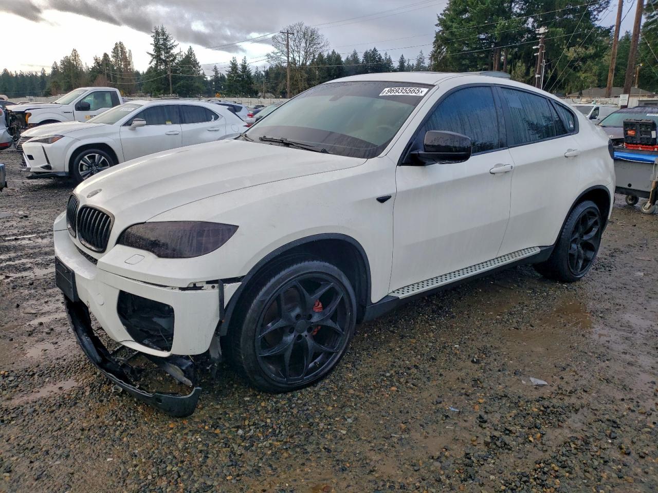 2014 BMW X6 VIN 5UXFG2C59E0H11438 photo 1