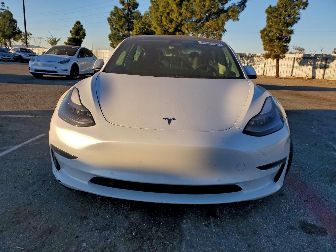 2021 Tesla Model 3 VIN 5YJ3E1EB3MF070582 photo 5