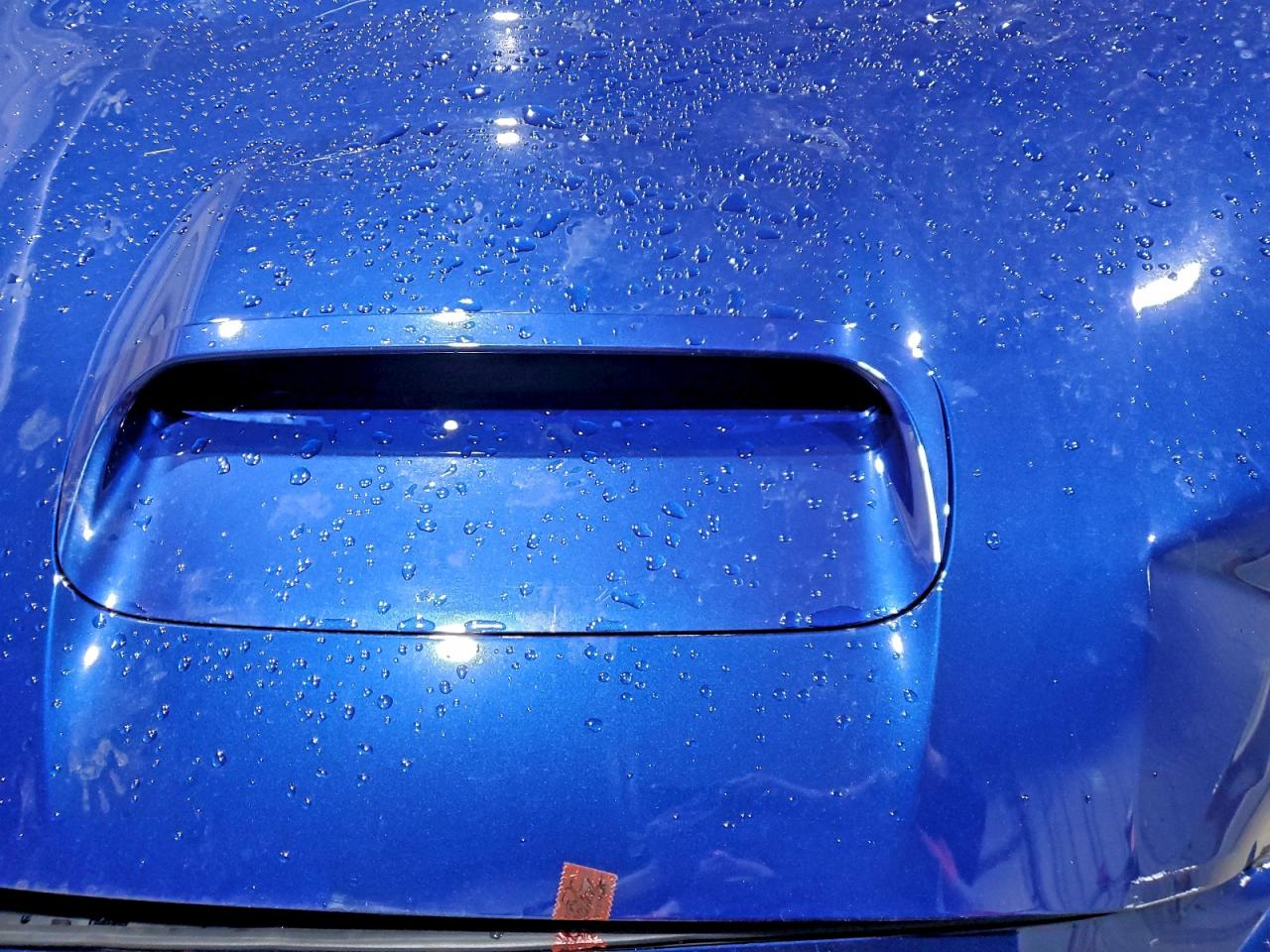 2019 Subaru Wrx VIN JF1VA1A68K9801064 photo 11