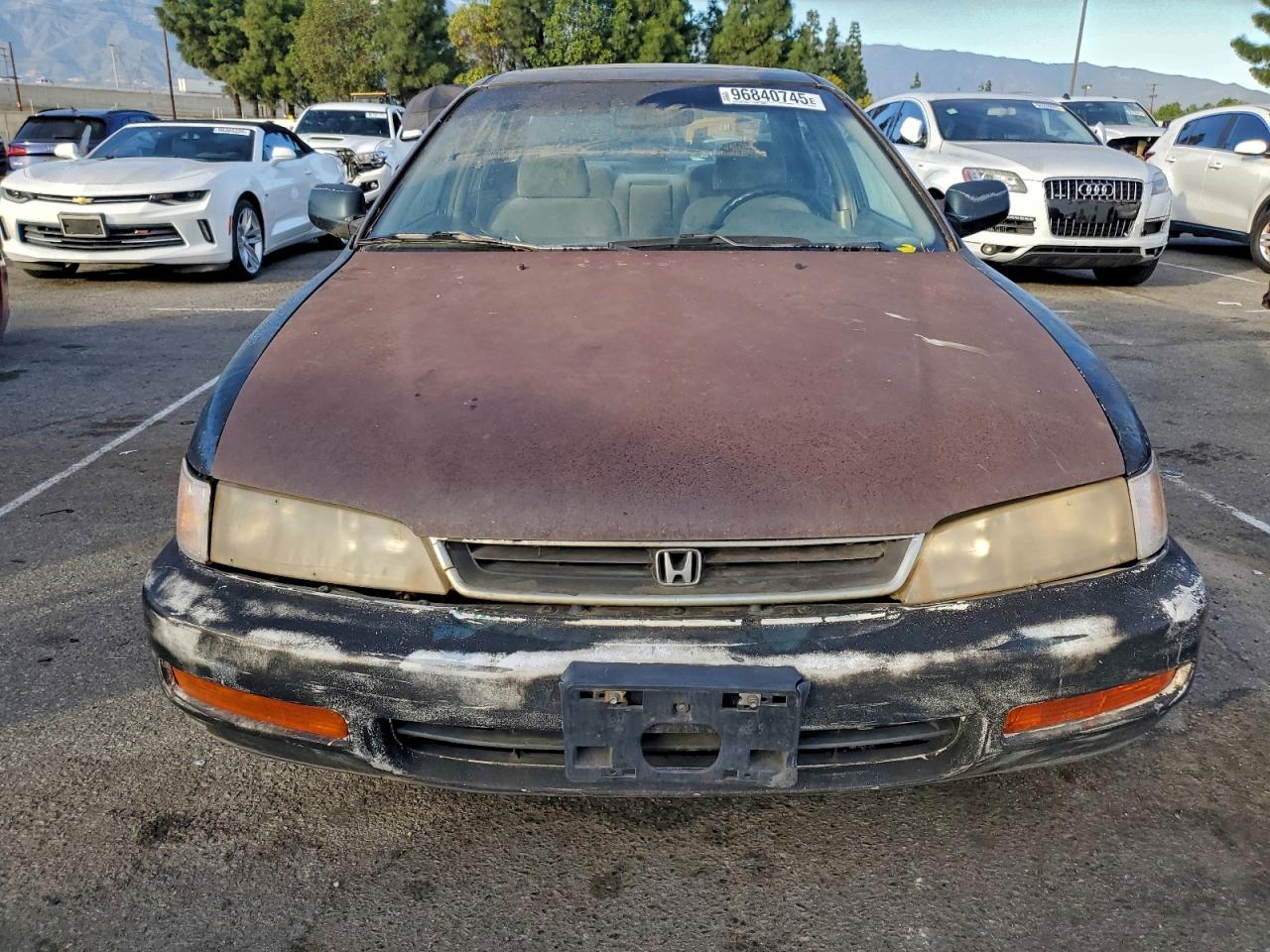 1996 Honda Accord VIN 1HGCD5658TA029778 photo 5