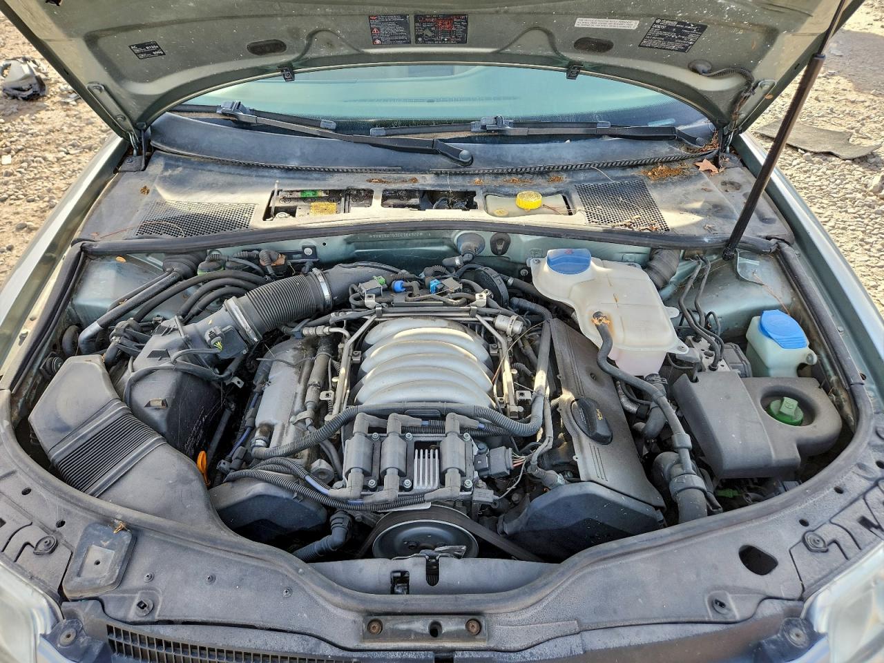 2005 Volkswagen Passat VIN WVWYU63B15E106877 photo 11