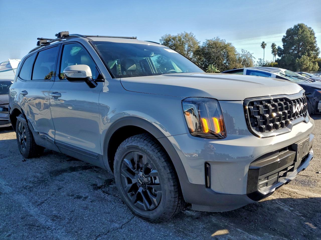2024 Kia Telluride VIN 5XYP5DGC9RG537822 photo 4
