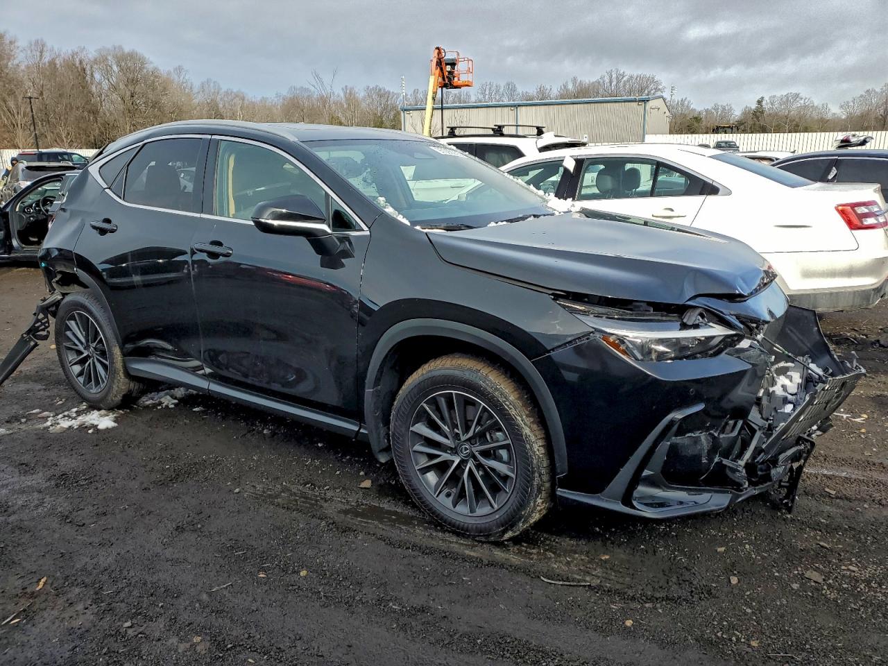 2025 Lexus Nx 350 pre VIN 2T2GGCEZ1SC080688 photo 4