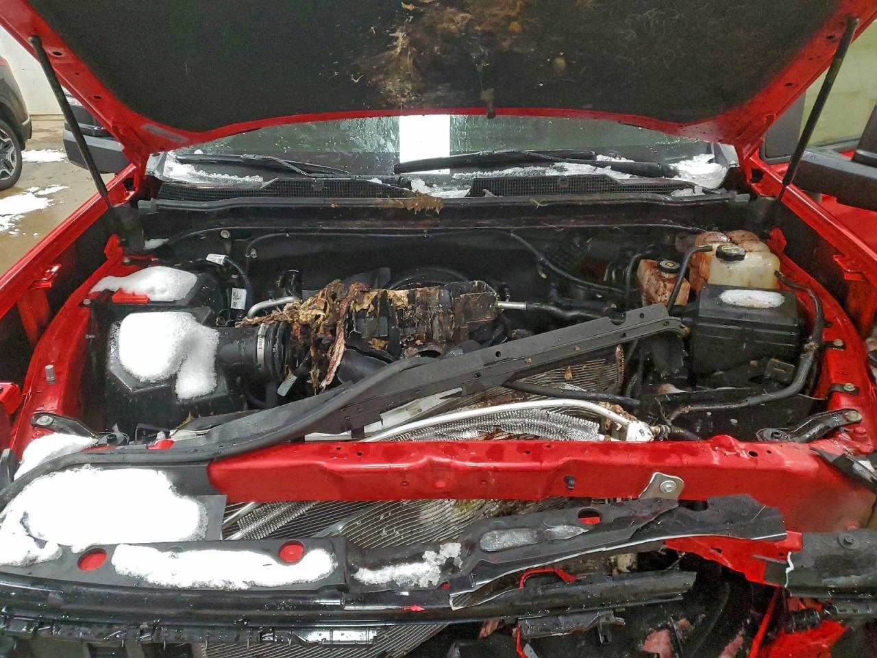 2024 Chevrolet All models VIN 2GC4YNE71R1268778 photo 11