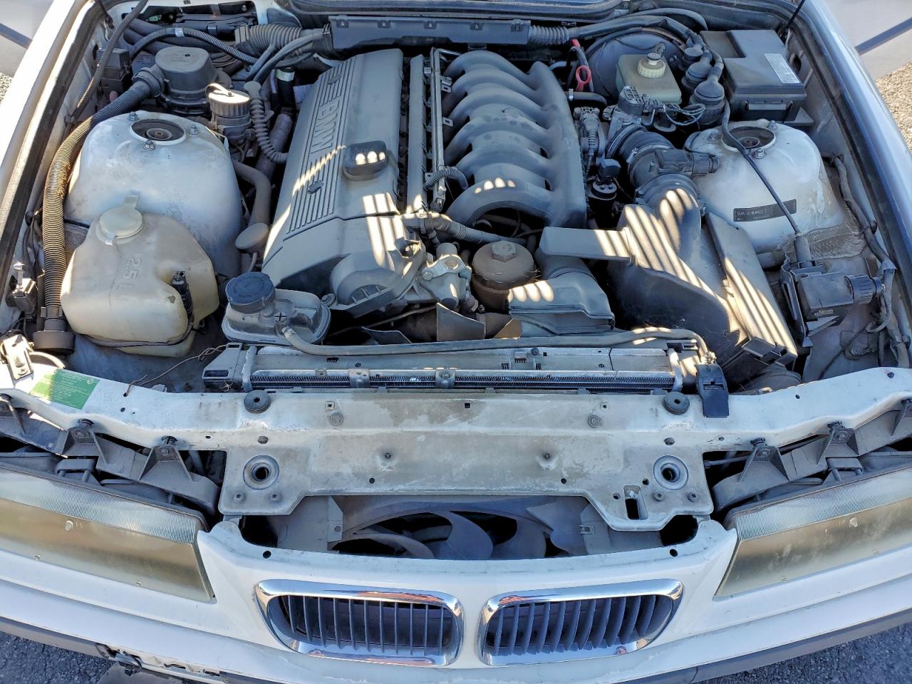 1998 BMW 3 series VIN WBABJ8321WEM21364 photo 11